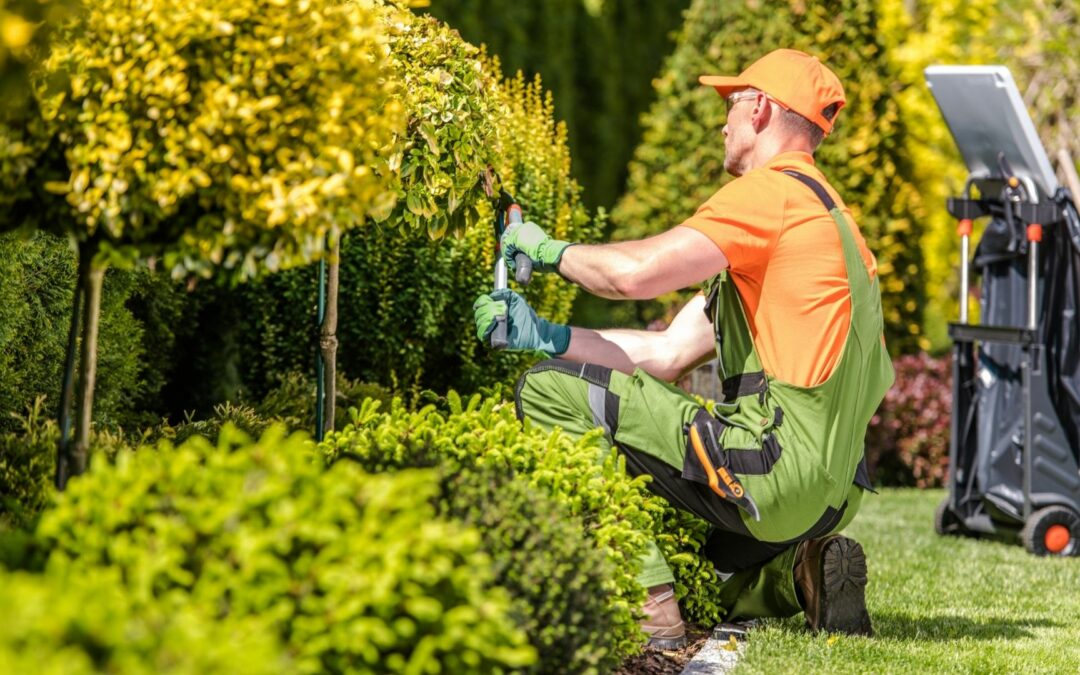 Entretien de jardin au Luxembourg : notre entreprise paysagiste prend soin de vos espaces verts !